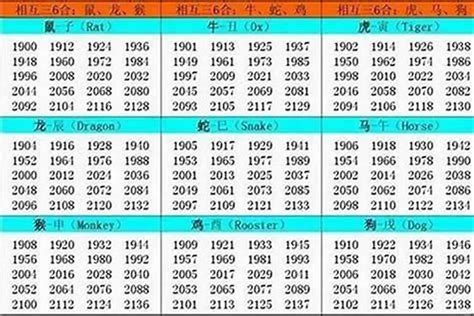 97年什么命|1997年属什么生肖 1997年的属相是什么命